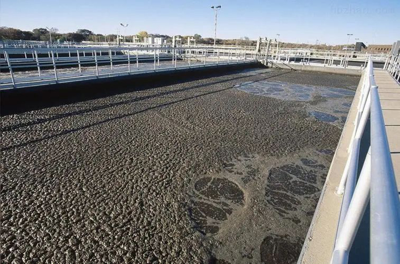 利用连续式污泥炭化炉能够转化经济效益